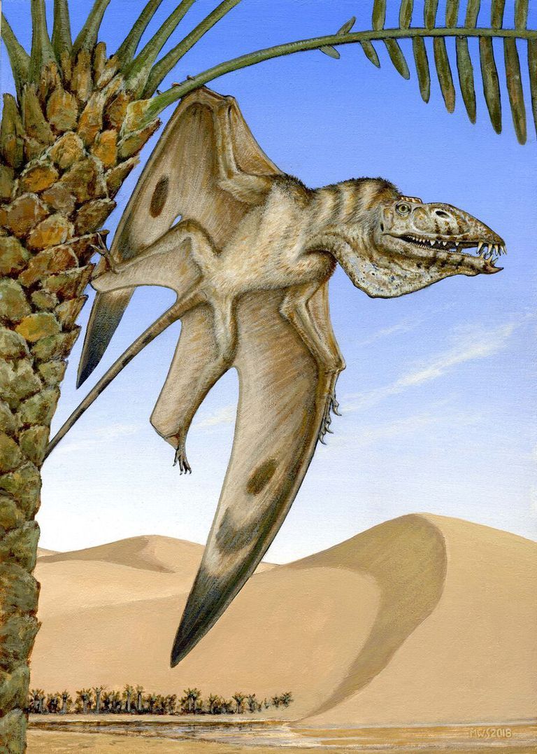 ABDde yeni bir uçan dinozor türü keşfedildi ABDde yeni bir uçan dinozor türü keşfedildi